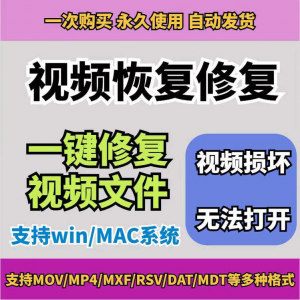 损坏MP4视频修复软件断电恢复工具短片导出摄像机视频文件修复-电商虚拟货源仓