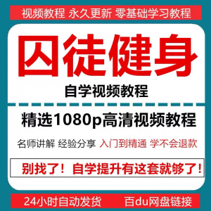 囚徒健身视频教程自重整套教案整专项训练教程+PDF电子版囚徒健身-电商虚拟货源仓