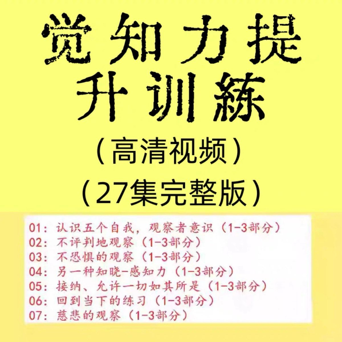 觉知力训练感知力国学智慧2025年心理学自我意识内心疗愈视频教程-电商虚拟货源仓