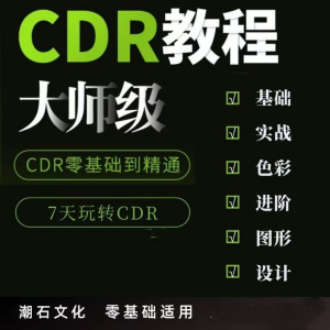 cdr教程视频Coreldraw自学平面设计广告排版零基础入门学习课程-电商虚拟货源仓