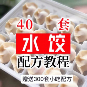 【0.01秒发】40套水饺技术配方 特制技术视频教程-电商虚拟货源仓
