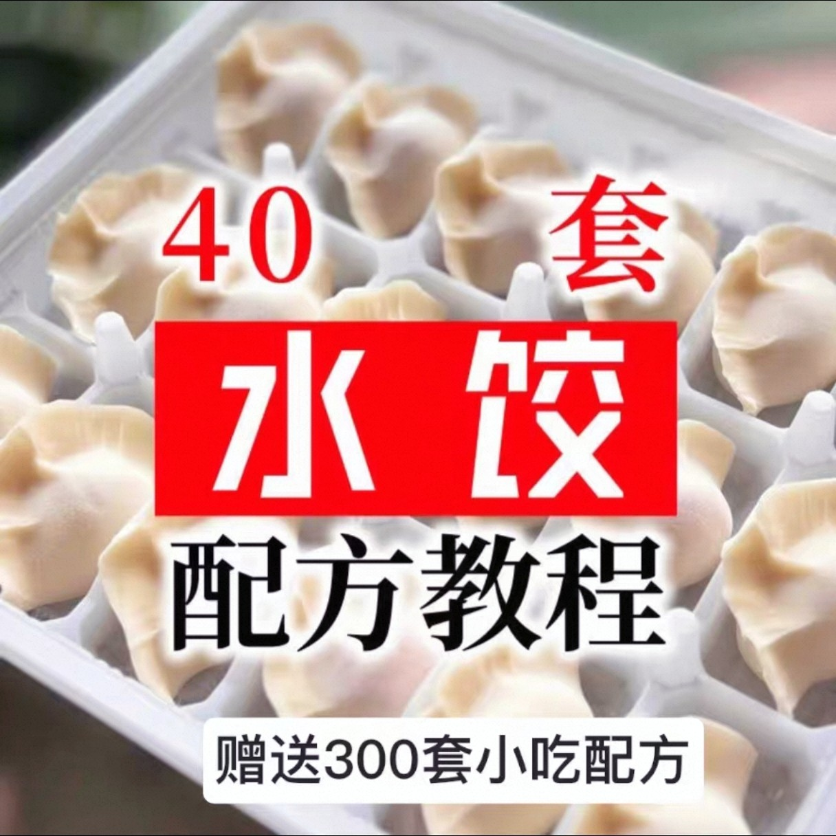 【0.01秒发】40套水饺技术配方 特制技术视频教程-电商虚拟货源仓