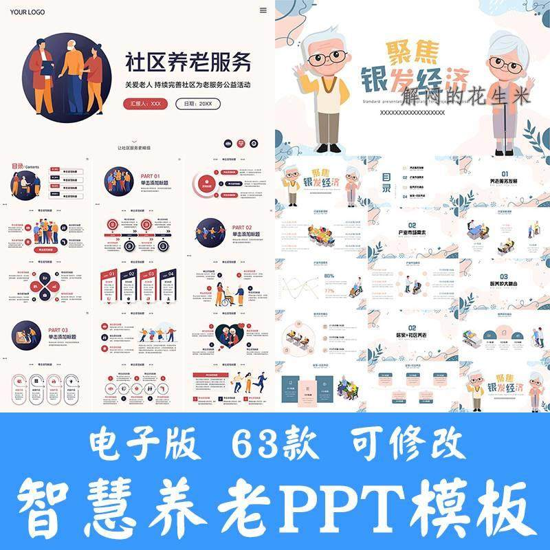 智慧养老ppt模板社区养老院服务宣传开题答辩商业计划书方案素材-电商虚拟货源仓