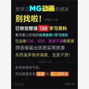 全套AE制作MG动画视频教学课程动效设计零基础自学培训教程资料-电商虚拟货源仓