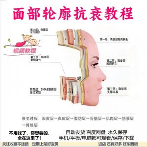 美商课程面部轮廓抗衰美肤减龄变美视频教程形象管理内在美好气色-电商虚拟货源仓