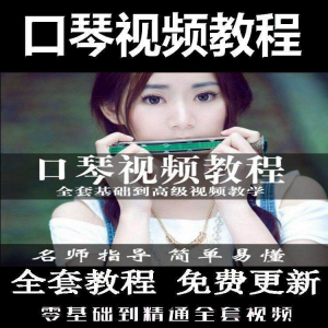 口琴自学教程视频零基础初学者入门到专业十孔24孔教学-电商虚拟货源仓