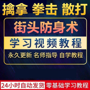 街头防身术擒拿拳击散打视频教程全套入门自学零基础学习教程视频-电商虚拟货源仓
