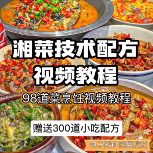 【0.01秒发】98道湘菜技术配方视频教程商用湖南菜炒菜特色小吃-电商虚拟货源仓