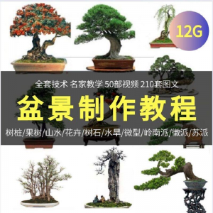 盆景制作技术视频教程工艺教学果树桩山水微型造型全套-电商虚拟货源仓