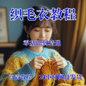 手工织毛衣视频零基础传统棒针钩针毛线编织婴儿童全套-电商虚拟货源仓