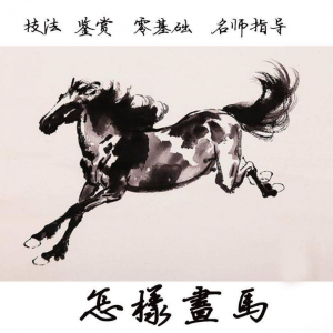怎么画马视频教程教学自学画马技巧全套零基础入门到提高名水墨画-电商虚拟货源仓