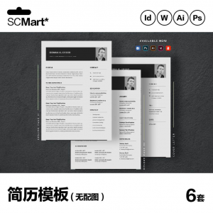 6套高级英文简历Word简历 ai psd设计师简历模板毕业生简历CV29-电商虚拟货源仓