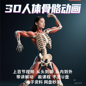 中医人体骨骼肌肉学习3D动态讲解演示视频自学零基础中医人体高考-电商虚拟货源仓