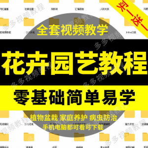 花卉园艺家庭养花盆栽苗圃栽培常识自学视频教程素材资料全套课程-电商虚拟货源仓