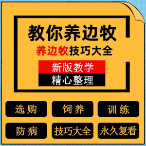 边牧训练方法教程边境牧羊犬驯养技术饲养喂养选购训犬技巧大全套-电商虚拟货源仓