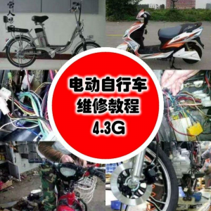 学电动车维修技术电动自行车维修技术电瓶修复技巧视频教程教学-电商虚拟货源仓
