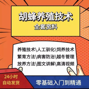 胡蜂养殖技术蜜蜂视频资料黄蜂黑盾怎样养胡蜂人工饲养教程大全-电商虚拟货源仓