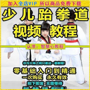 跆拳道自学教学视频跆拳道训练视频跆拳道运动教程少儿培训素材-电商虚拟货源仓