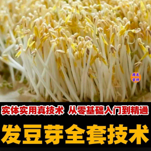 自学发豆芽技术资料豆芽加工制作方法教学 培育豆芽商用视频教程-电商虚拟货源仓