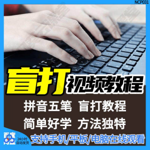 盲打不看键盘打字视频教学网课指法纠正零基础普通键盘私教版资料-电商虚拟货源仓