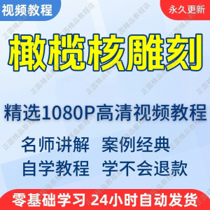 橄榄核雕刻视频学习教程新手自学零基础入门精通教学课程全集-电商虚拟货源仓
