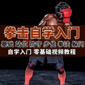 全套拳击指导视频教程自学零基础小白入门自卫搏击格斗防护资料-电商虚拟货源仓