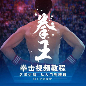 拳击教学视频 自学教程 训练零基础运动入门健身搏击格斗武术课程-电商虚拟货源仓